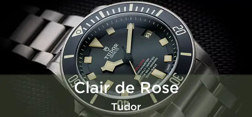  Clair de Rose Tudor