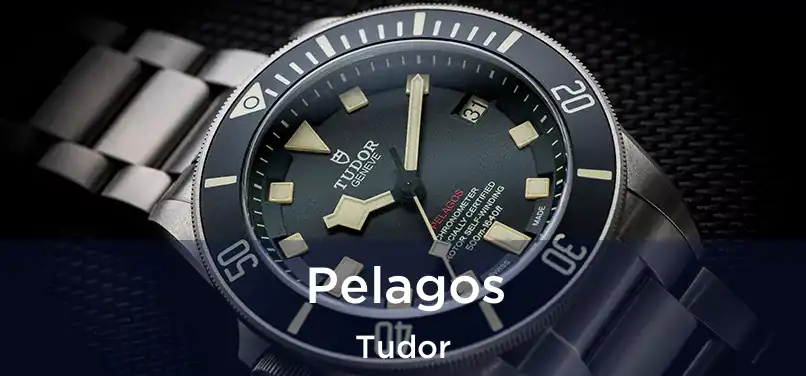  Pelagos Tudor